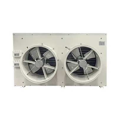 Kompakter 3126 m³/h 1,7 kW 2 Lüfter DJ10 Luftkühler für kleine Gefrierschränke
